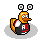 DR Sports Duck Supporter
