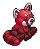 Lovely Red Panda