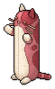 Long Red Cat