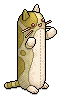 Long Yellow Cat