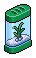 Green Shrimp Aquarium