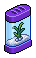Purple Shrimp Aquarium