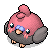 Chocolate Hatchling