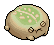 Green Desert Rain Frog
