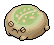 Green Desert Rain Frog