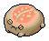 Coral Desert Rain Frog