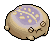 Lavender Desert Rain Frog
