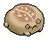 Brick Desert Rain Frog