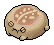 Brick Desert Rain Frog
