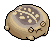 Stone Desert Rain Frog