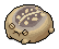 Stone Desert Rain Frog