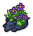 Sleepy Midnight Planter