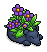 Sleepy Midnight Planter