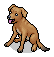 Caramelo Dog
