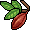 Cocoa Tree