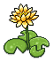 Yellow Lilies