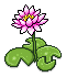 Pink Lilies