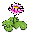 Pink Lilies