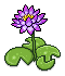 Purple Lilies