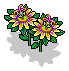 Yellow Passion Flower