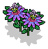 Purple Passion Flower