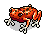 Red Poison Dart Frog
