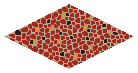Portugese Stone Floor