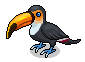 Coco Toucan