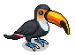 Coco Toucan