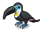 Black-Billed Toucan