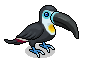 Black-Billed Toucan