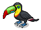 Green-Billed Toucan