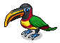 Gold-Billed Toucan
