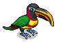 Gold-Billed Toucan