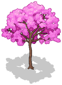 Lapacho Tree