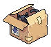 Box Cat Boo