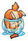 Bowl Cat Barry