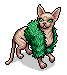 Fashionable Sphynx Fifi
