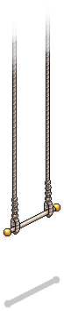 Circus Trapeze