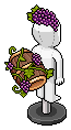 Dionysus' Grapes