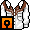 Classic Western Shirt