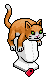Orange Cat Hat