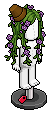 Potted Hair
