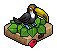 Pet Toucan