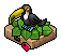 Pet Toucan