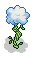 Cloud Plant