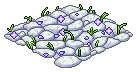 Dreamer’s Floor