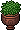 Ornamental Plant