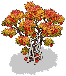 Autumn Apple Tree
