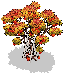 Autumn Apple Tree
